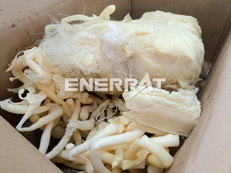 微信圖片_20230704160617